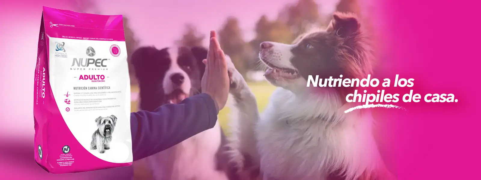 Venta de alimento para perro
